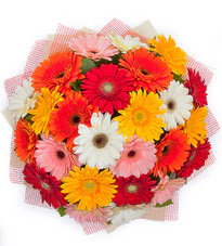 15 adet renkli gerbera buketi Temelli ankara internetten �i�ek sat��� 