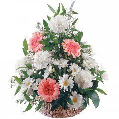 kar���k mevsim sepet �i�e�i Temelli �i�ek g�nderme sitemiz g�venlidir 