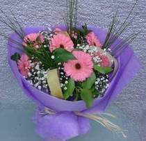 Ankara Temelli online �i�ek g�nderme sipari�  9 adet gerbera g�zel �i�egi