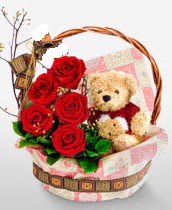 sepet i�erisinde 5 adet g�l ve 15 cm ay�c�k Temelli ankara �i�ek�i telefonlar� yurti�i ve yurtd��� �i�ek sipari�i 