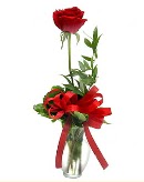 vazo i�erisinde 1 adet k�rm�z� g�l Temelli Ankara �i�ek g�nder uluslararas� �i�ek g�nderme 