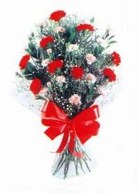 Temelli Ankara �i�ek g�nder uluslararas� �i�ek g�nderme  Karanfillerden g�zel bir demet