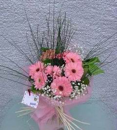 Temelli �i�ek online �i�ek sipari�i  Pembe gerbera mevsim �i�ekleri