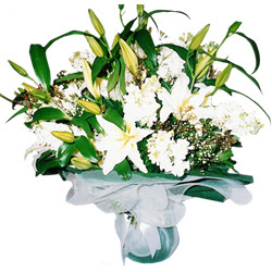 �i�ek�i Temelli �i�ek servisi , �i�ek�i adresleri  Kazablanka ve gerbera demeti