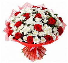 11 adet k�rm�z� g�l ve 1 demet krizantem Ankara Temelli hediye �i�ek yolla 