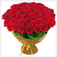 51 adet g�l 1 g�nl���ne indirimde Temelli Ankara �i�ek g�nder uluslararas� �i�ek g�nderme  