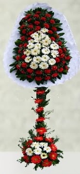 Ankara Temelli kaliteli taze ve ucuz �i�ekler  �ift katl� d���n a��l�� �i�e�i