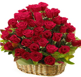 41 adet k�rm�z� g�l sepet i�erisinde Temelli �i�ek sat��� , �i�ek�i , �i�ek�ilik 