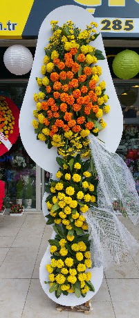 D���n A��l�� �i�ekleri Temelli �i�ek�i ma�azas� 