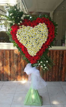D���n Nikah pano �zel tanzimi Ankara Temelli kaliteli taze ve ucuz �i�ekler 