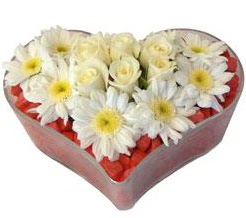 Kalp i�erisinde 7 beyaz g�l ve papatyalar Ankara Temelli kaliteli taze ve ucuz �i�ekler 