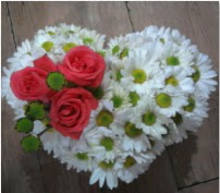 3 adet k�rm�z� g�l mika kalptte papatyalar Ankara Temelli kaliteli taze ve ucuz �i�ekler 