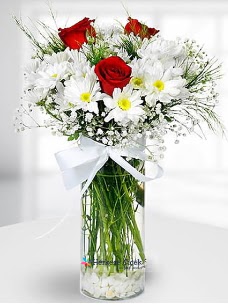 3 k�rm�z� g�l ve krizantemler camda Ankara Temelli hediye �i�ek yolla 