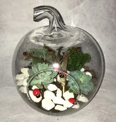 K���k terrarium elma 3 kakt�s Ankara Temelli hediye �i�ek yolla 