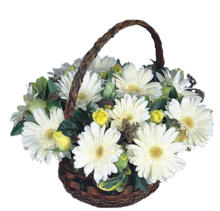 Temelli ankara �i�ek ma�azas� , �i�ek�i adresleri  Sepet i�inde  gerbera aranjmani 