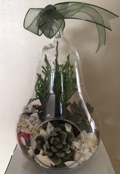 Orta boy armut terrarium 3 kakt�s Ankara Temelli �i�ek sipari�i sitesi 