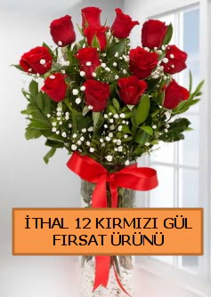  �thal k�rm�z� 12 adet kaliteli g�l Temelli Ankara hediye sevgilime hediye �i�ek 