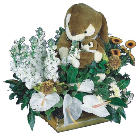 Ankara Temelli �i�ek yolla  Gerbera antoryum aranjmani 