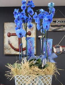 4 dall� �zel mavi orkide Ankara Temelli �i�ek sat��� online �i�ek�i , �i�ek sipari�i 