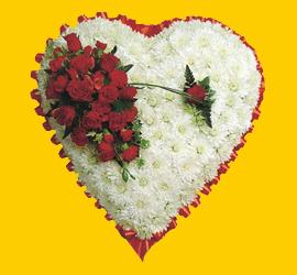 Temelli internetten �i�ek sipari�i  1.20m x 1.20m  Gerbera G�ller