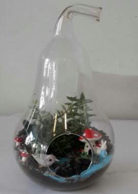Armut orta boy cam terrarium Temelli �i�ek sipari�i vermek 
