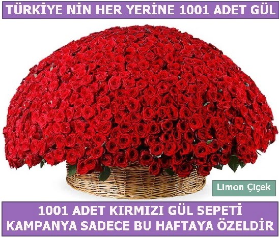 1001 Adet k�rm�z� g�l Bu haftaya �zel Temelli �i�ek sipari�i vermek 