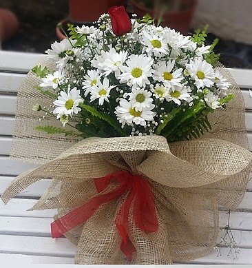 Papatya 1 adet k�rm�z� g�l buketi Temelli ankara �i�ekleri g�venli kaliteli h�zl� �i�ek 