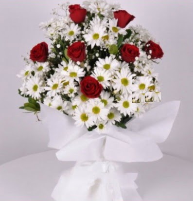 7 adet k�rm�z� g�l ve papatyalar krizantem Ankara Temelli kaliteli taze ve ucuz �i�ekler 