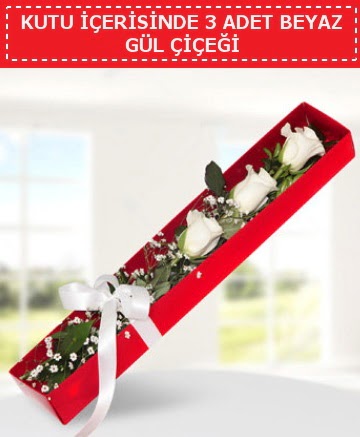 Kutu i�erisinde 3 adet beyaz g�l �i�e�i Temelli ankara �nternetten �i�ek sipari�i 