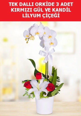 Tek dall� orkide 3 g�l ve kandil lilyum Temelli cicek , cicekci 