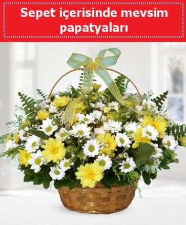 Sepet i�erisinde mevsim papatyalar� Temelli Ankara hediye sevgilime hediye �i�ek 