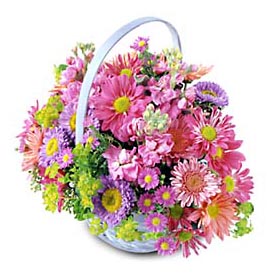 Temelli Ankara �i�ek g�nder uluslararas� �i�ek g�nderme  Sepet Mevsim �i�eklerinden 