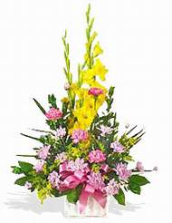 ankara �i�ek�i Temelli ucuz �i�ek g�nder  sepet i�inde Glayor karanfil �zel tanzim