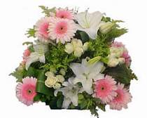 Temelli �i�ek�i ma�azas�  G�l kazablanka gerbera sepet �i�ek modeli