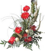 Temelli �i�ek�i ma�azas�  Kirmizi gerbera �zel tanzim
