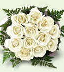 �i�ek�i Temelli ankara �i�ek sat���  12 adet beyaz g�l buket