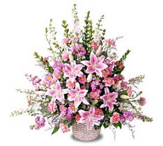 Temelli ankara �i�ek ma�azas� , �i�ek�i adresleri  Tanzim mevsim �i�eklerinden �i�ek modeli