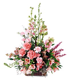 Temelli Ankara hediye sevgilime hediye �i�ek  mevsim �i�eklerinden �zel