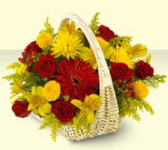 Temelli ankara �i�ek sipari�i �i�ek g�nderme  sepette mevsim �i�ekleri