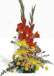 �i�ek�i Temelli ankara �i�ek sat���  glay�r ve mevsim �i�ekleri