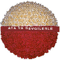 arma anitkabire - mozele i�in Ankara Temelli online �i�ek g�nderme sipari� 
