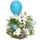 balon ve �i�eklerle tanzim Temelli ankara �i�ekleri g�venli kaliteli h�zl� �i�ek 