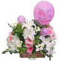 balon ve �i�eklerle tanzim Ankara Temelli kaliteli taze ve ucuz �i�ekler 