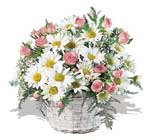 pembe g�ller ve krizantemler  Temelli �i�ek sat��� , �i�ek�i , �i�ek�ilik 