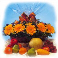 sepette gerbera ve meyvalar  �i�ek�i Temelli �i�ek servisi , �i�ek�i adresleri 