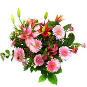 lilyum ve gerbera �i�ekleri - �i�ek se�imi - Ankara Temelli cicekciler , cicek siparisi 