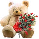 kocaman ayicik ve 10 g�l  Temelli anneler g�n� �i�ek yolla 