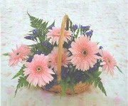 gerbera �i�eklerinde sepet  Temelli cicek , cicekci 
