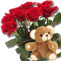 11 adet g�l ve ayicik buket  Temelli cicek , cicekci 
