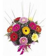 karisik gerbera �i�ekleri Temelli cicek , cicekci 